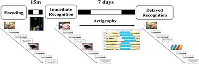 The Fate of Emotional Memories Over a Week: Does Sleep Play Any Role?